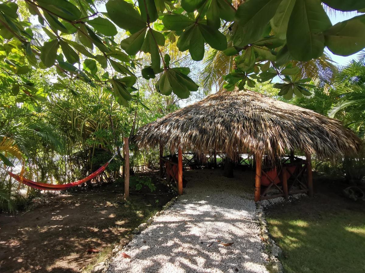 Tropical Villas At Los Corales Beach - Caribbean Rentals Fzco Пунта-Кана Экстерьер фото